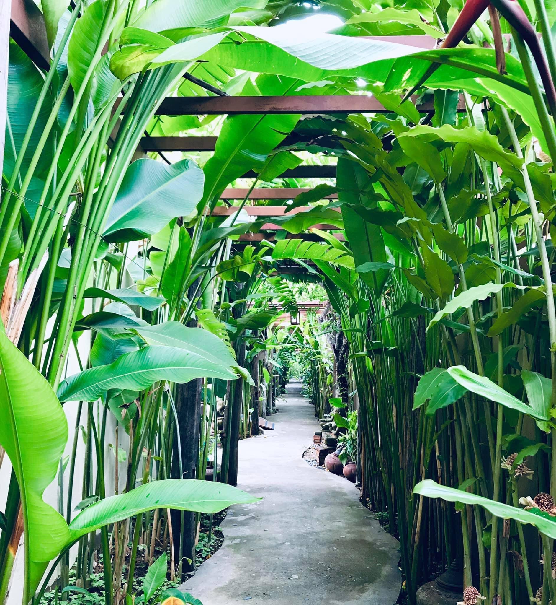Shewe Wana Boutique Hotel (Adults Only) Chiang Mai Exterior foto