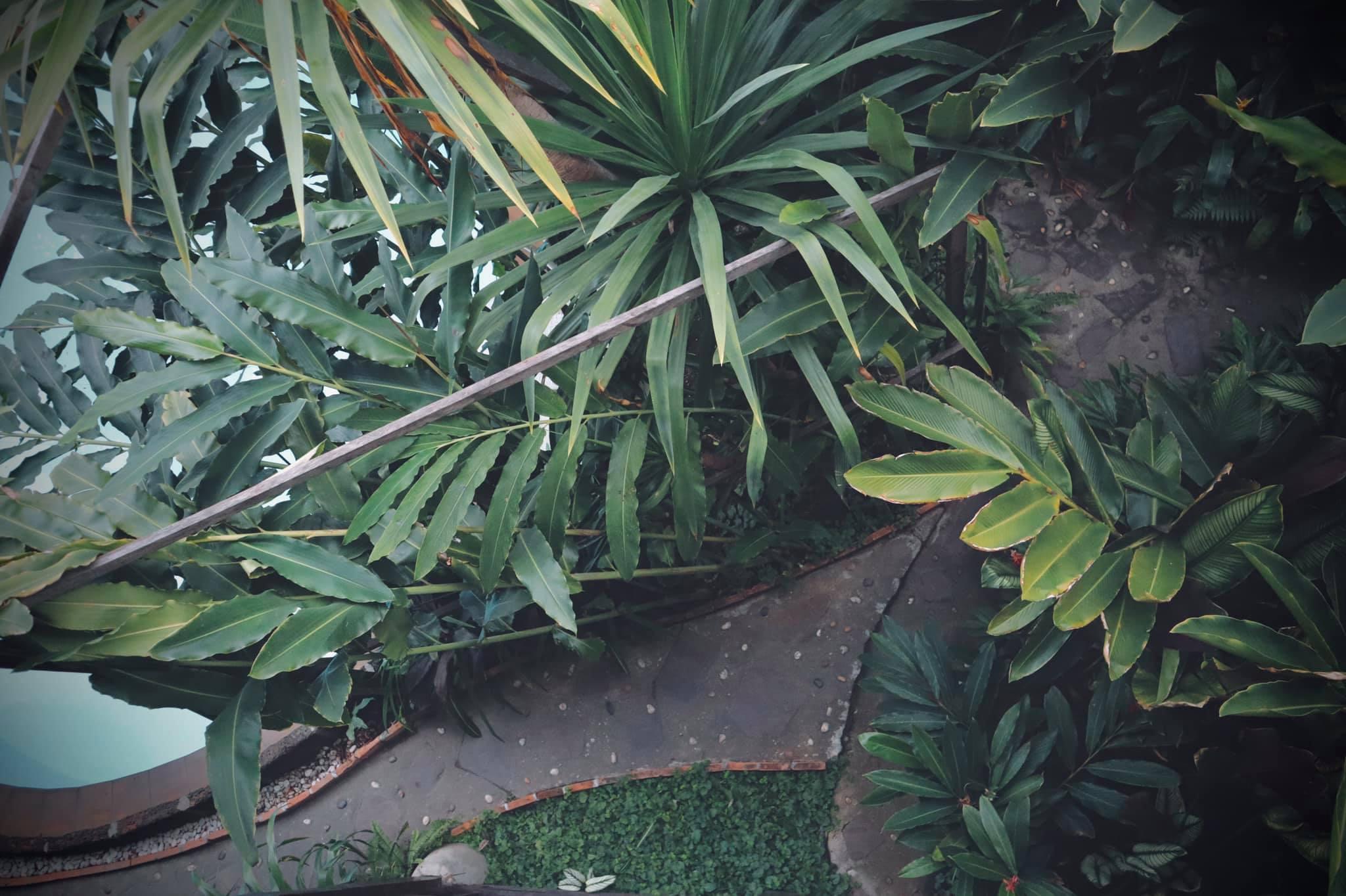 Shewe Wana Boutique Hotel (Adults Only) Chiang Mai Exterior foto