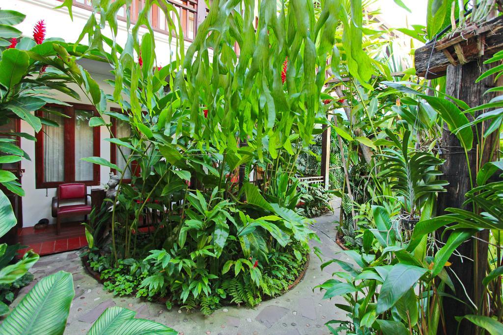 Shewe Wana Boutique Hotel (Adults Only) Chiang Mai Exterior foto